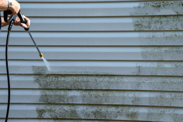 Best Storm Damage Siding Repair  in Woodville, TX